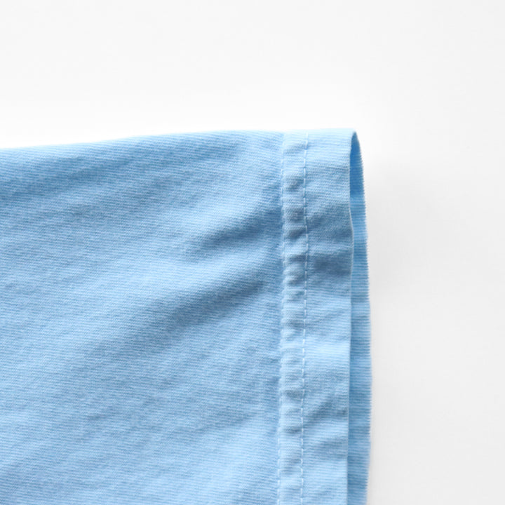 Presque Isle is for the Birds Tee