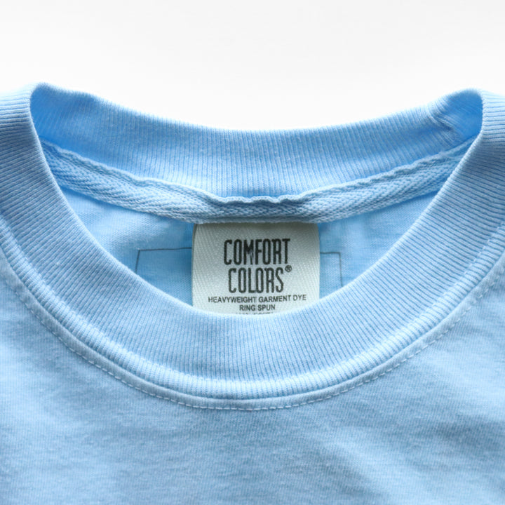 Presque Isle is for the Birds Tee