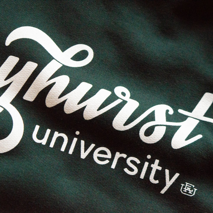 Mercyhurst Script Hoodie