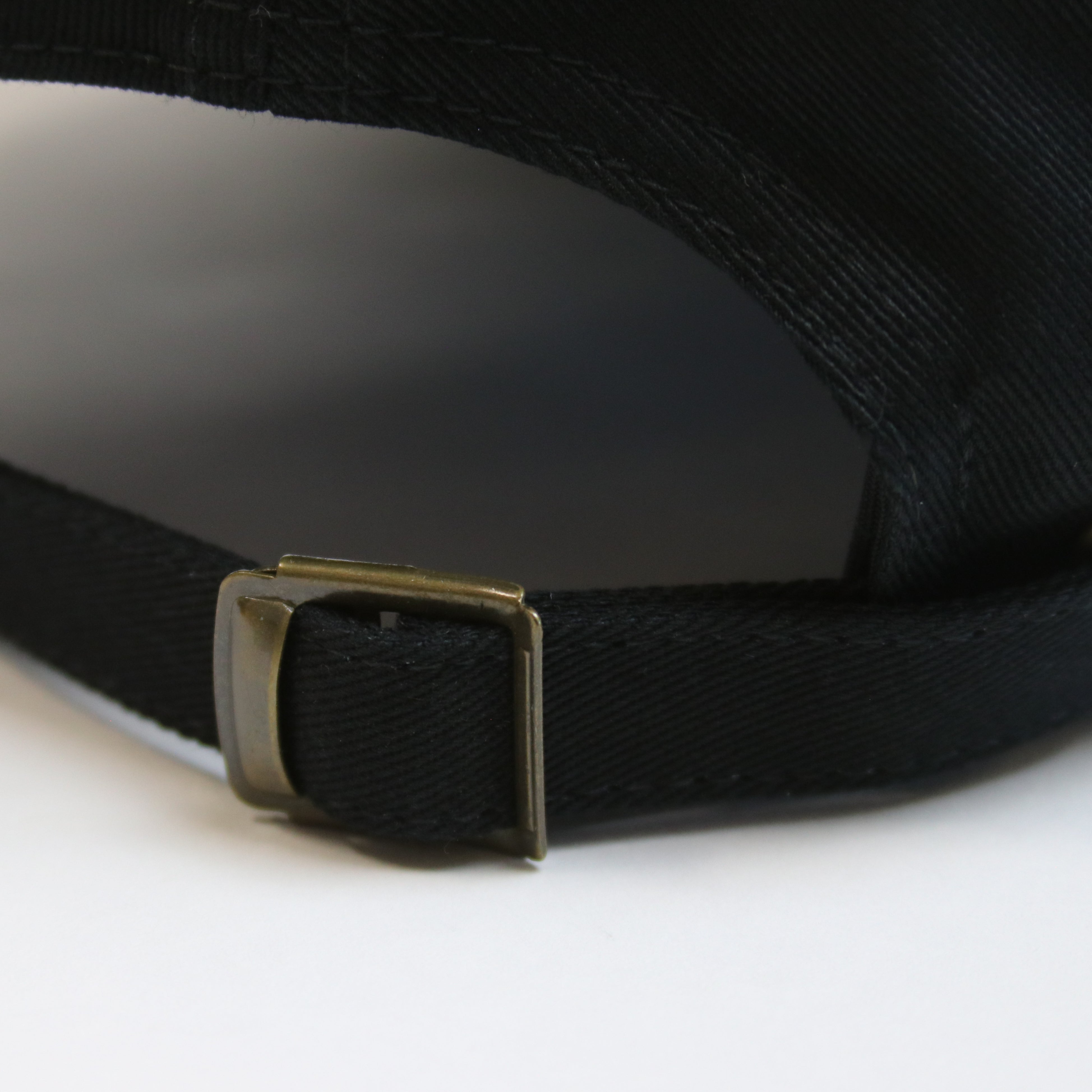 Can I Bring My Dog? Hat