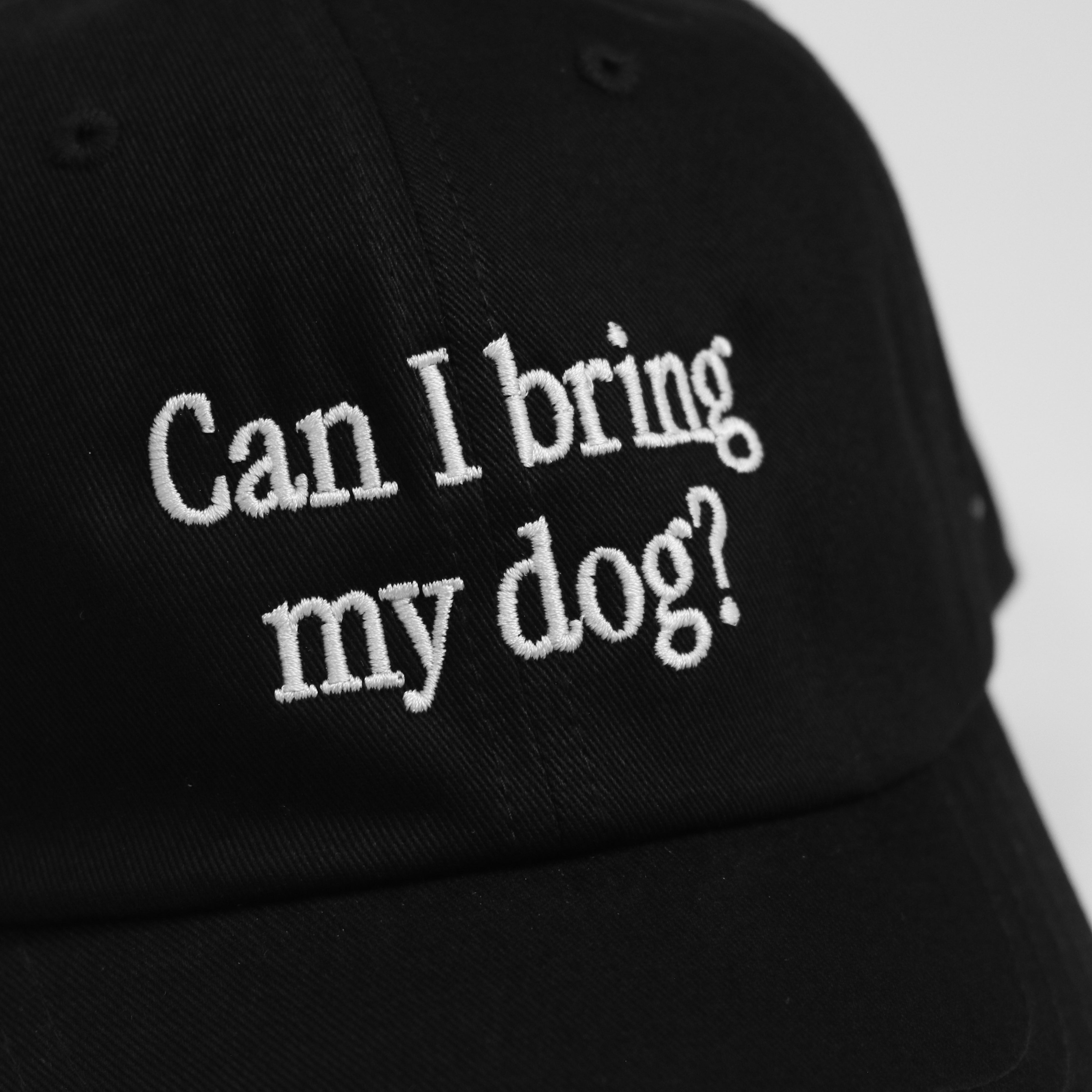 Can I Bring My Dog? Hat