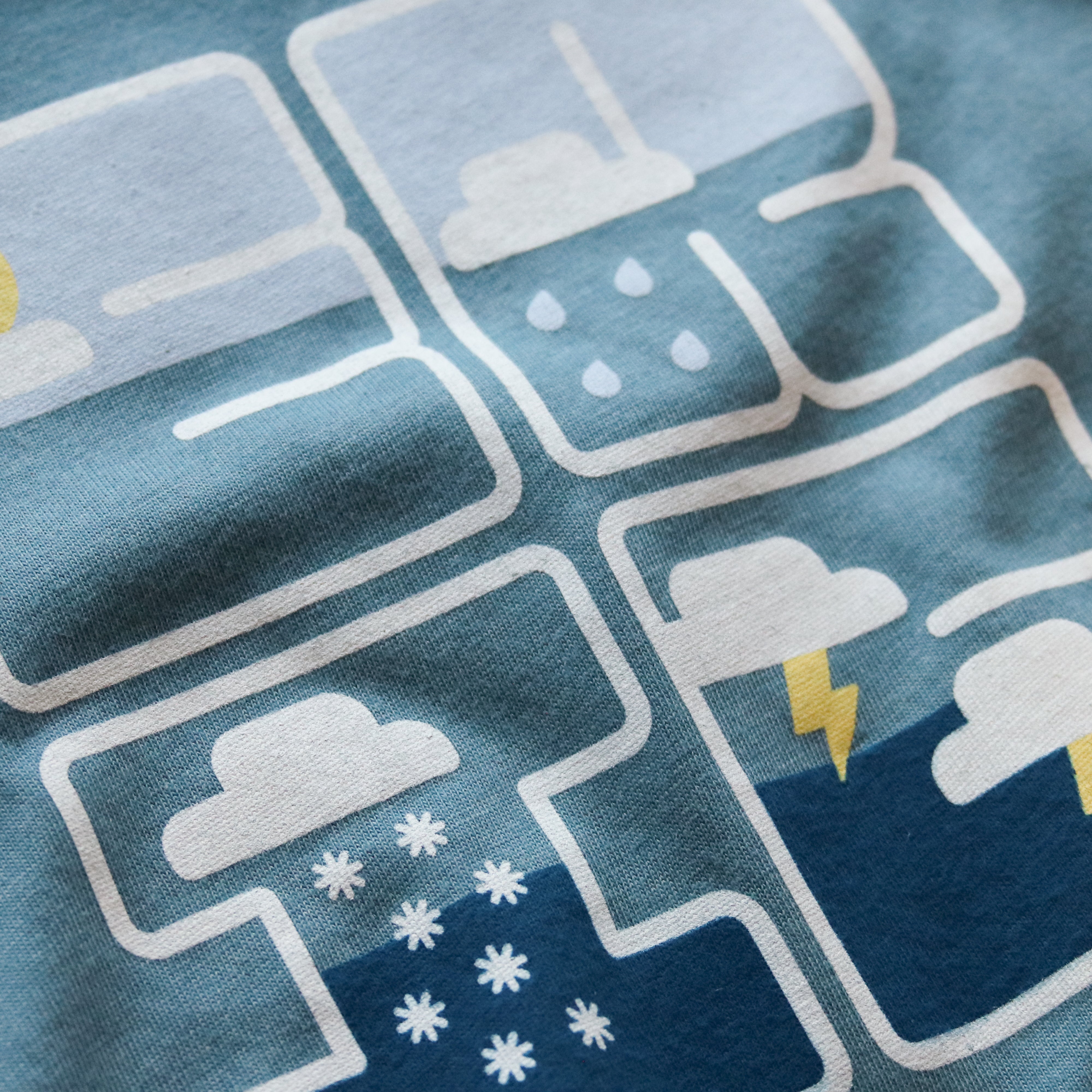 Erie Seasons Youth Tee