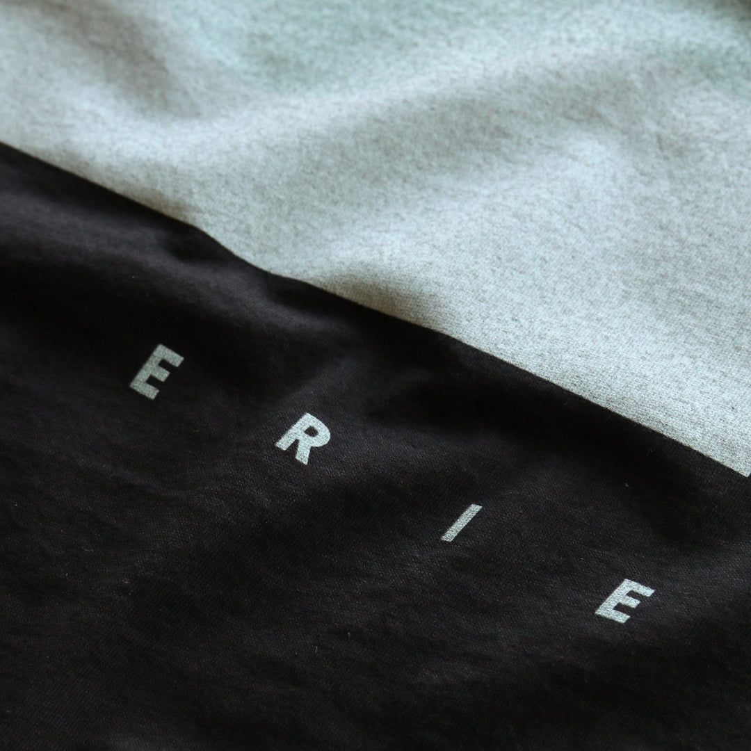 Lake Erie Waves Tee