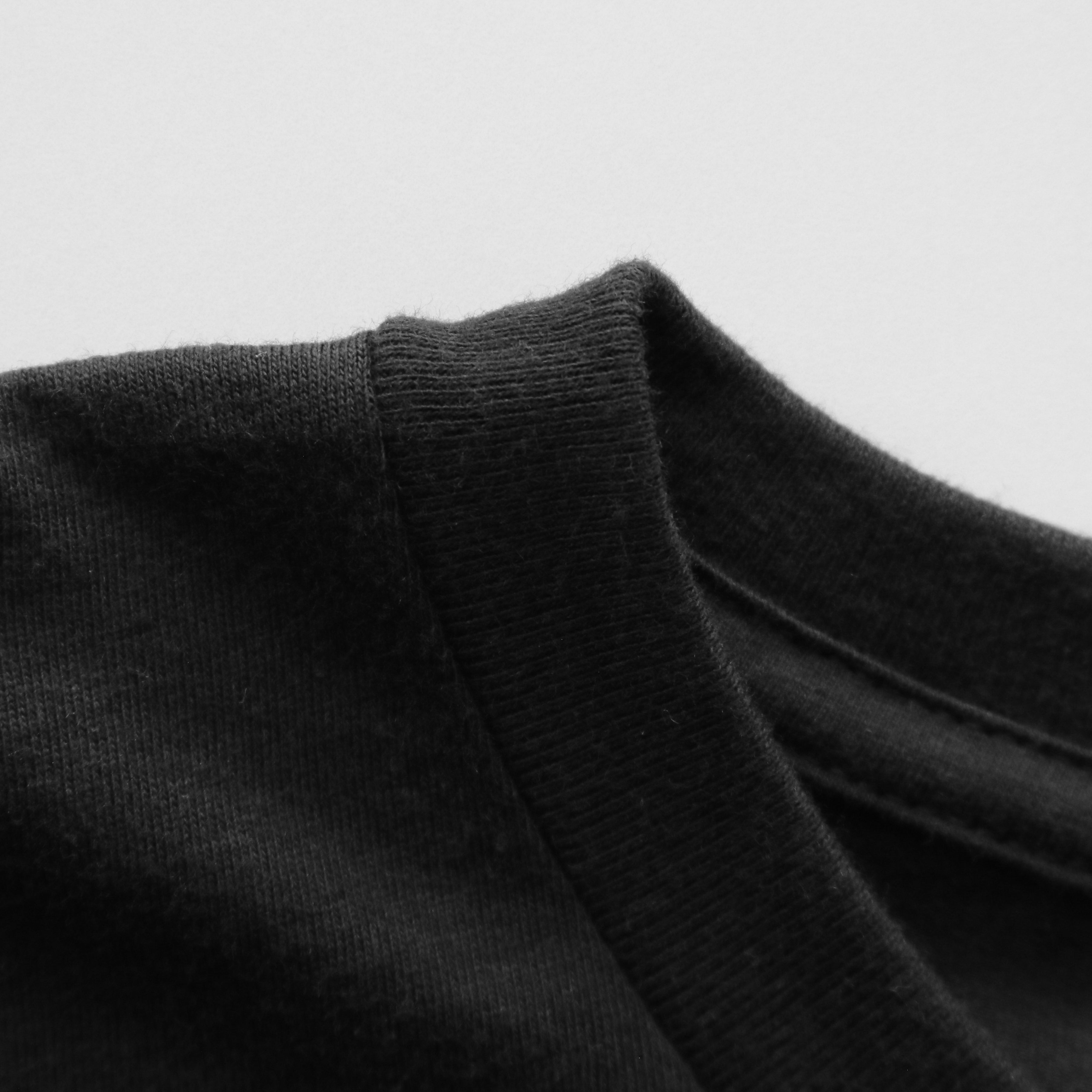 Prehistoric Presque Isle Tee