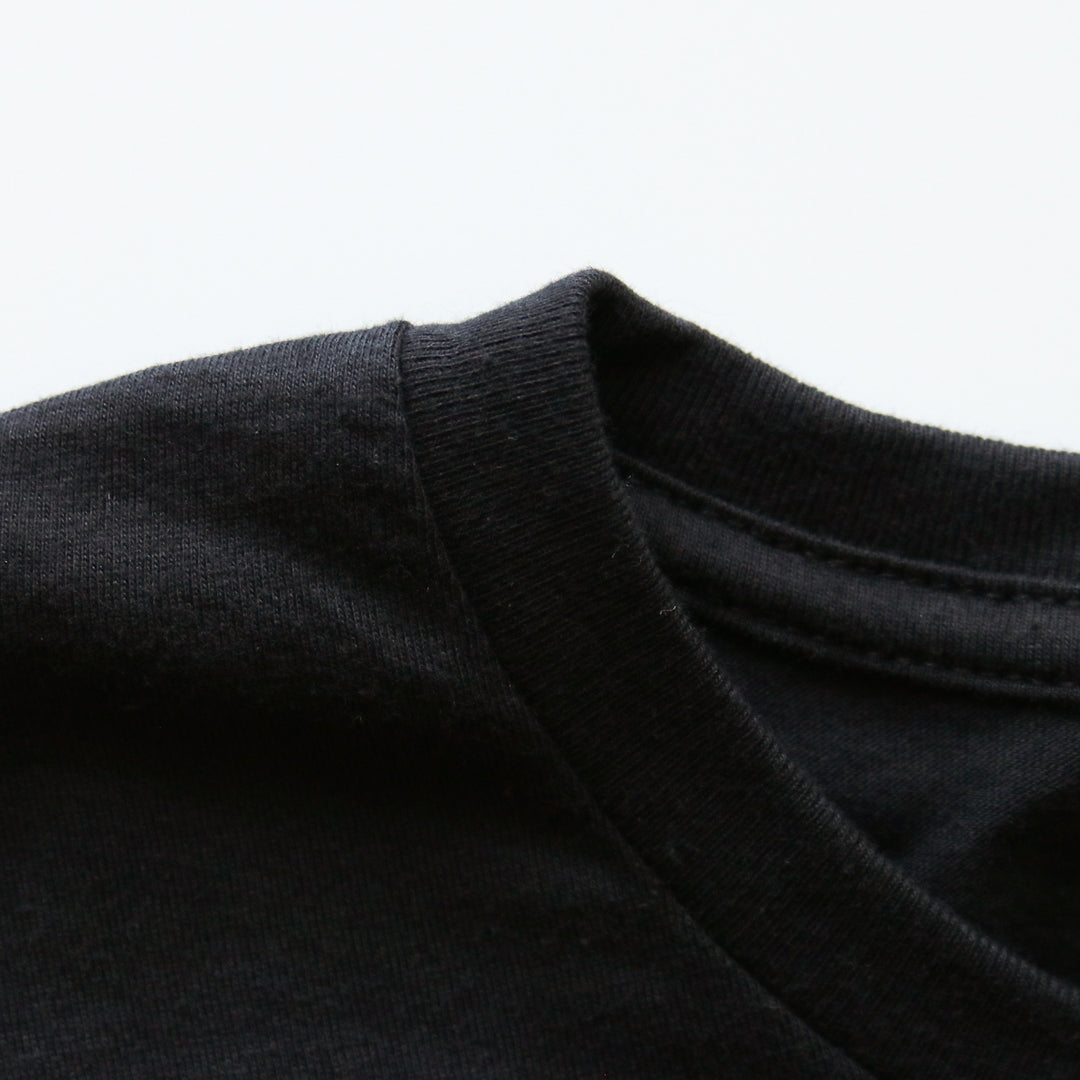 Erie Rocks Tee