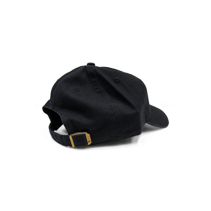 Baseball Icon Hat