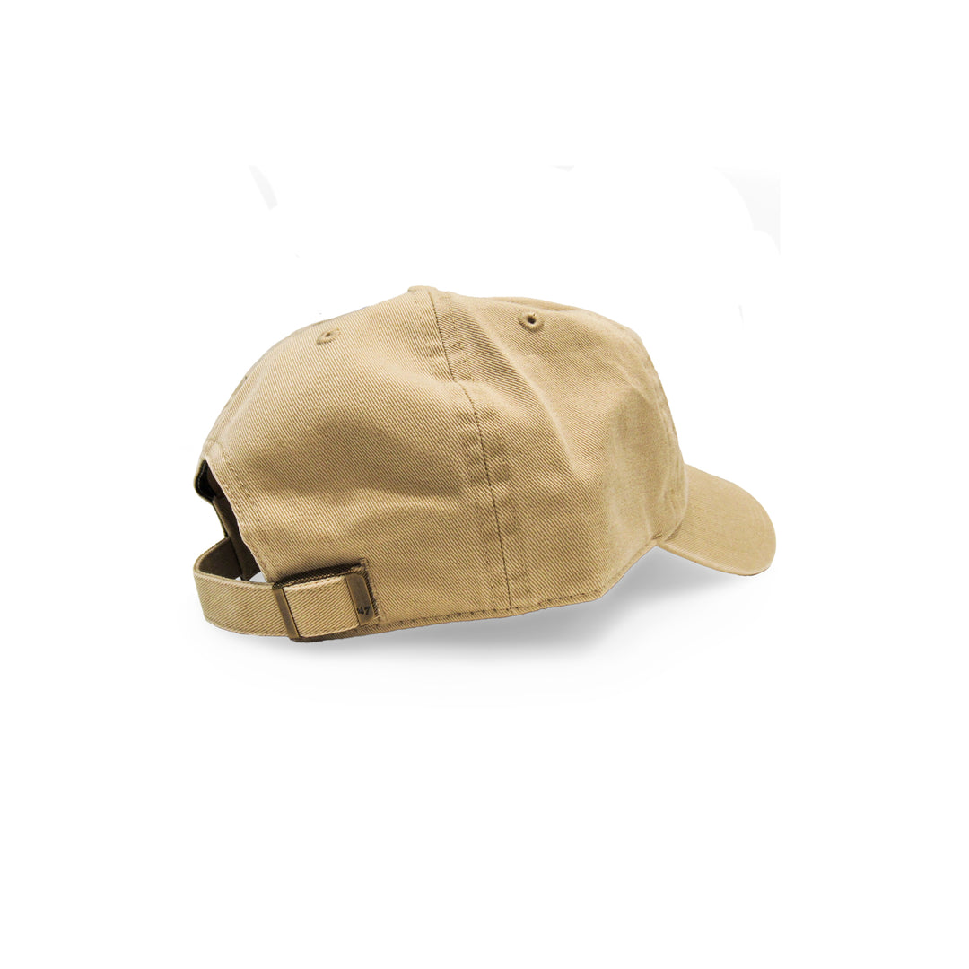 Baseball Icon Hat