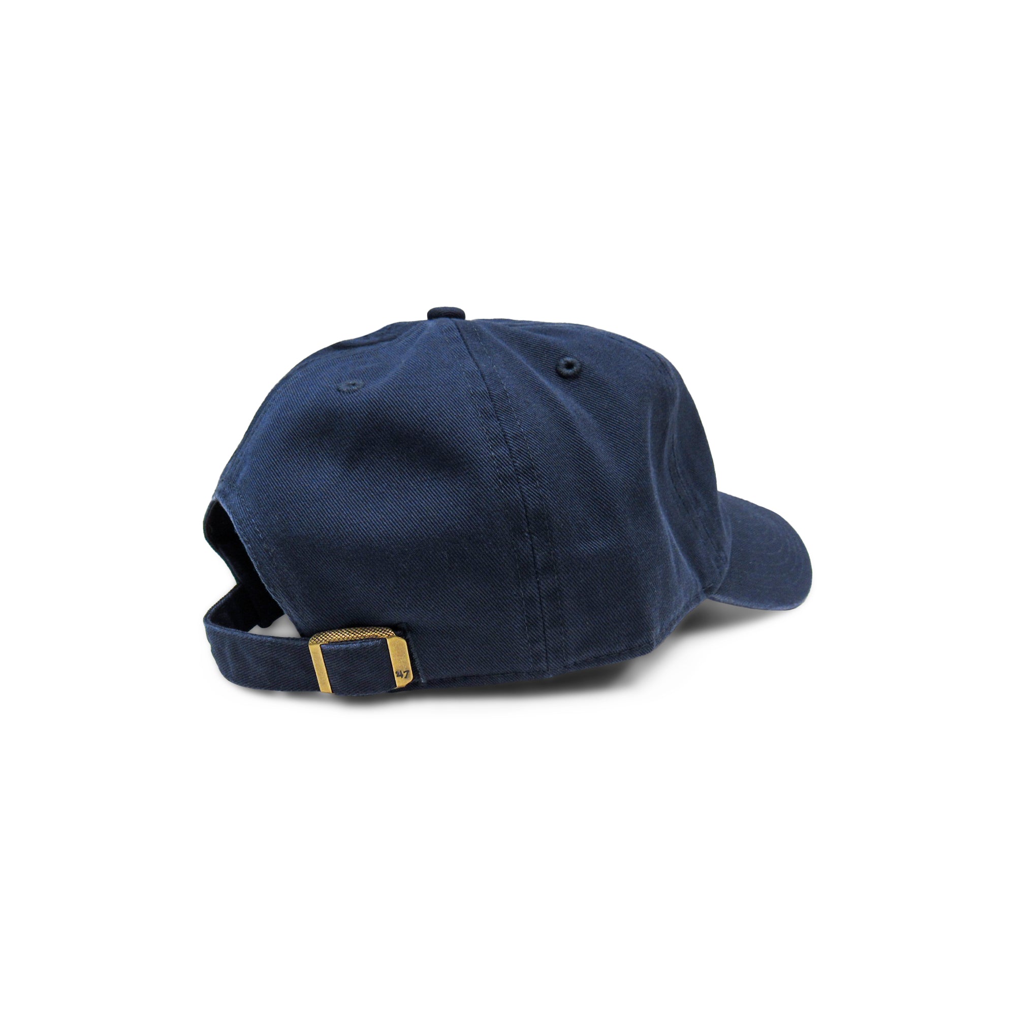 Baseball Icon Hat