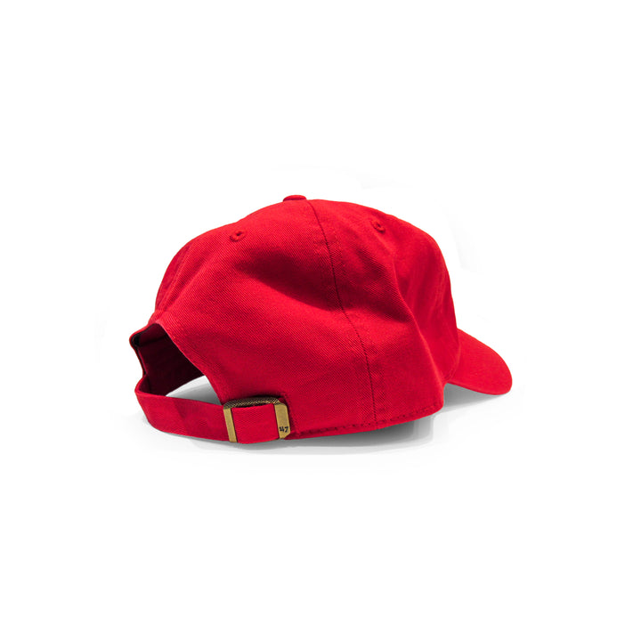 Baseball Icon Hat