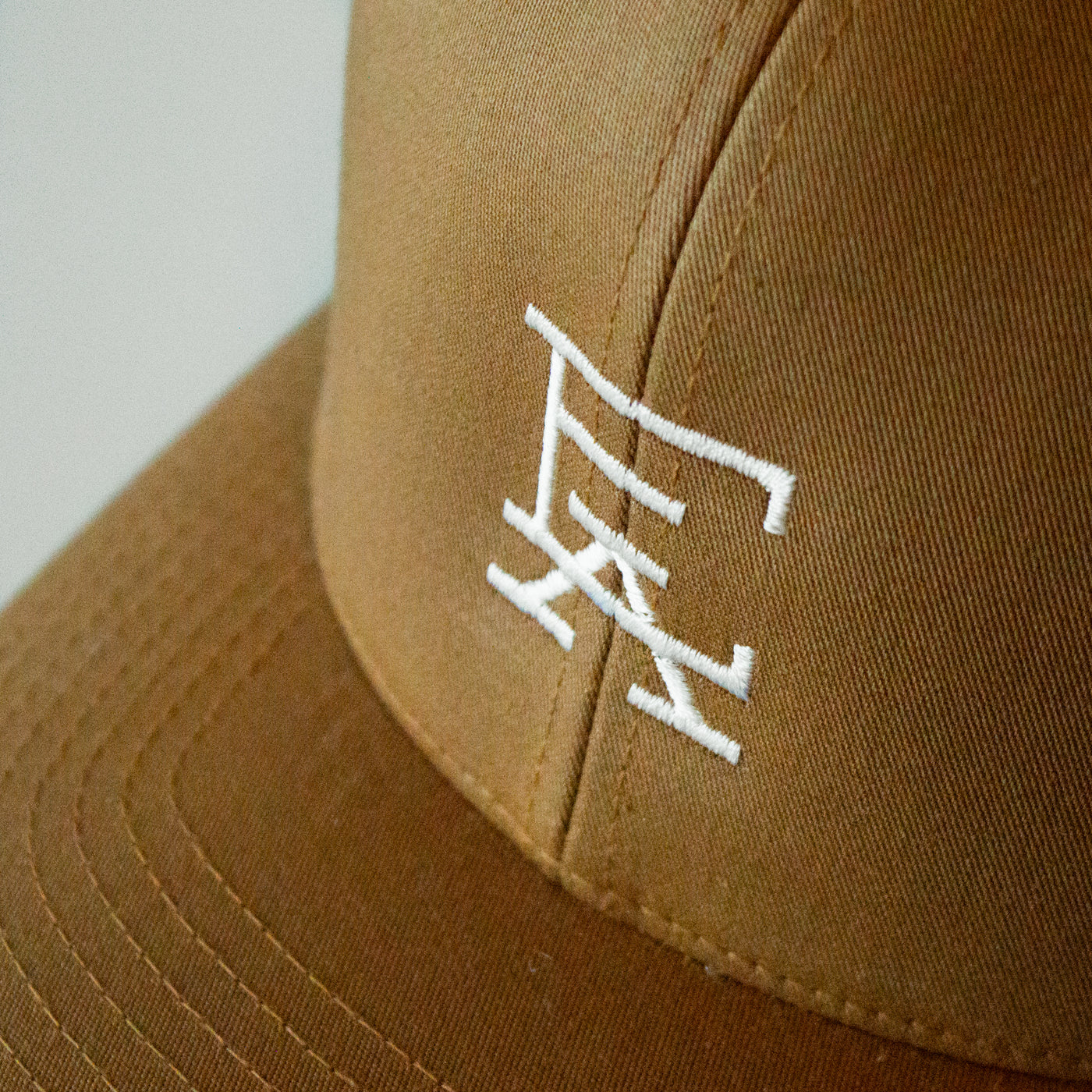 EA Logo Trucker Hat