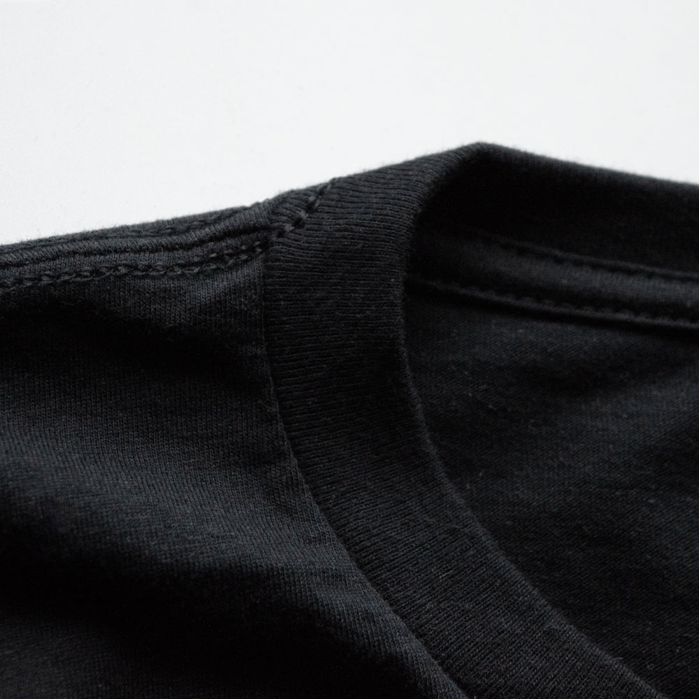 Lake Erie Shipwrecks Tee