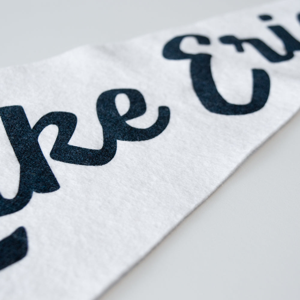 Lake Erie Script Pennant