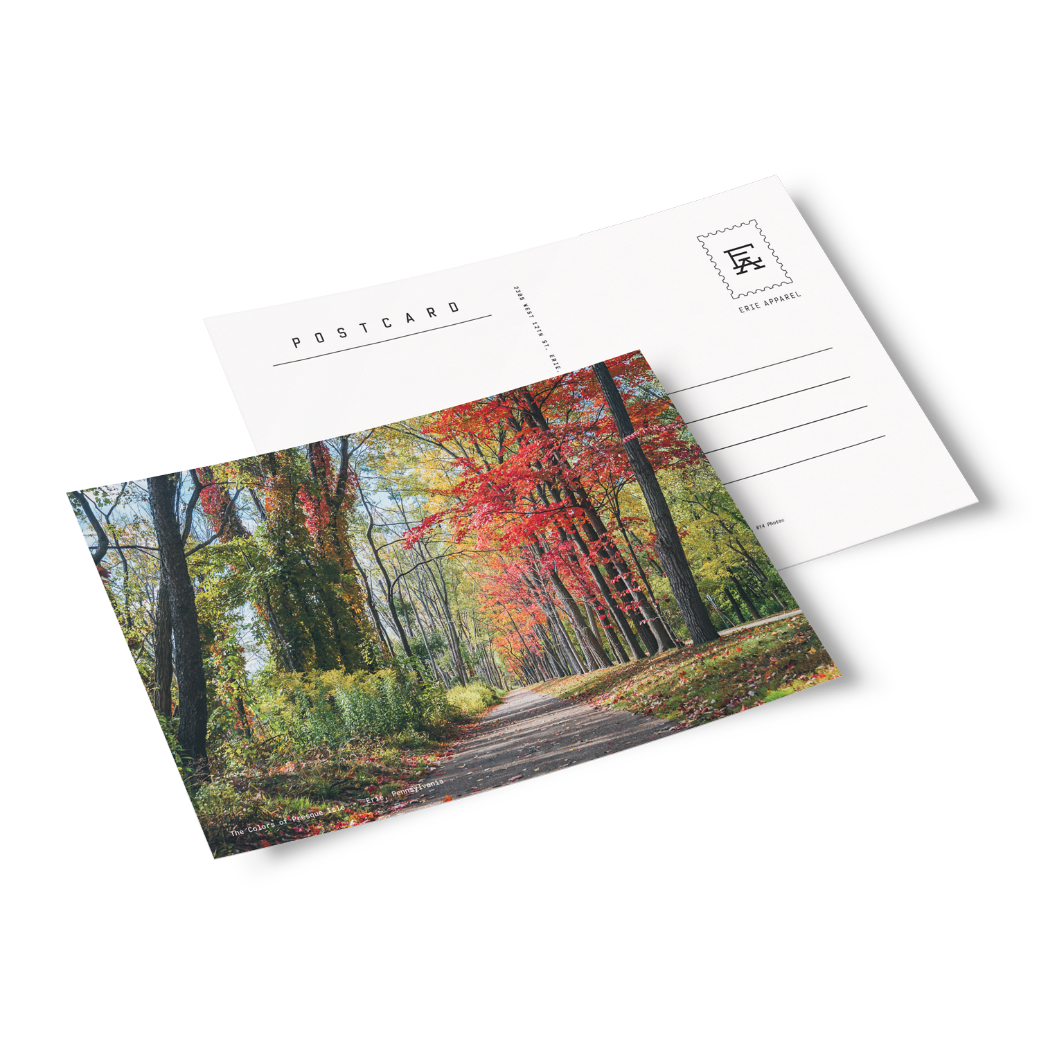 Postcards by 814 Photo