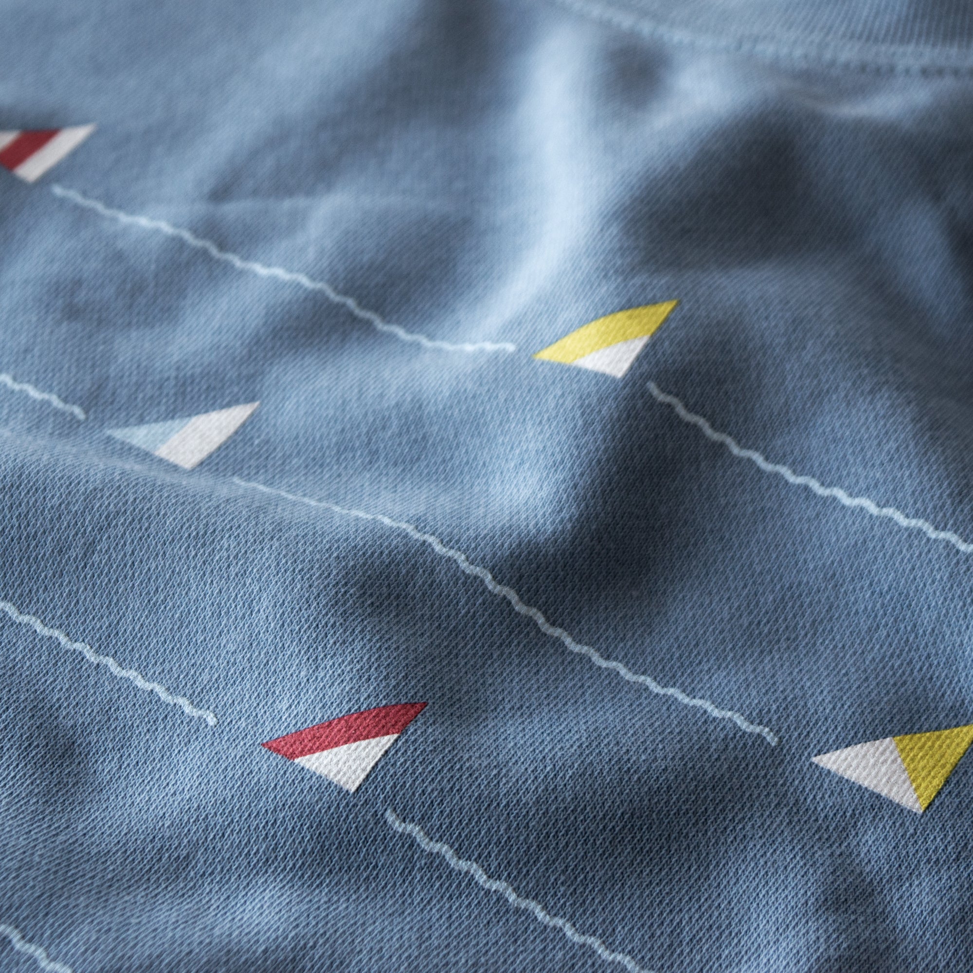 Lake Erie Sails Crewneck