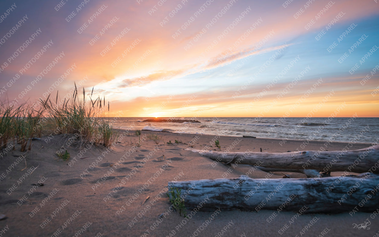 Driftwood Sunset - Matted Photo Print