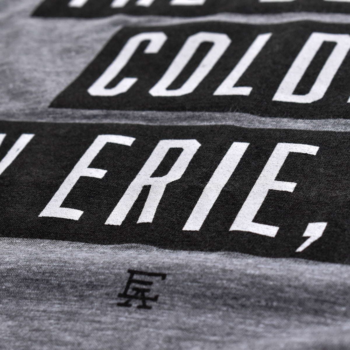 The Beer Is Colder In Erie Tee